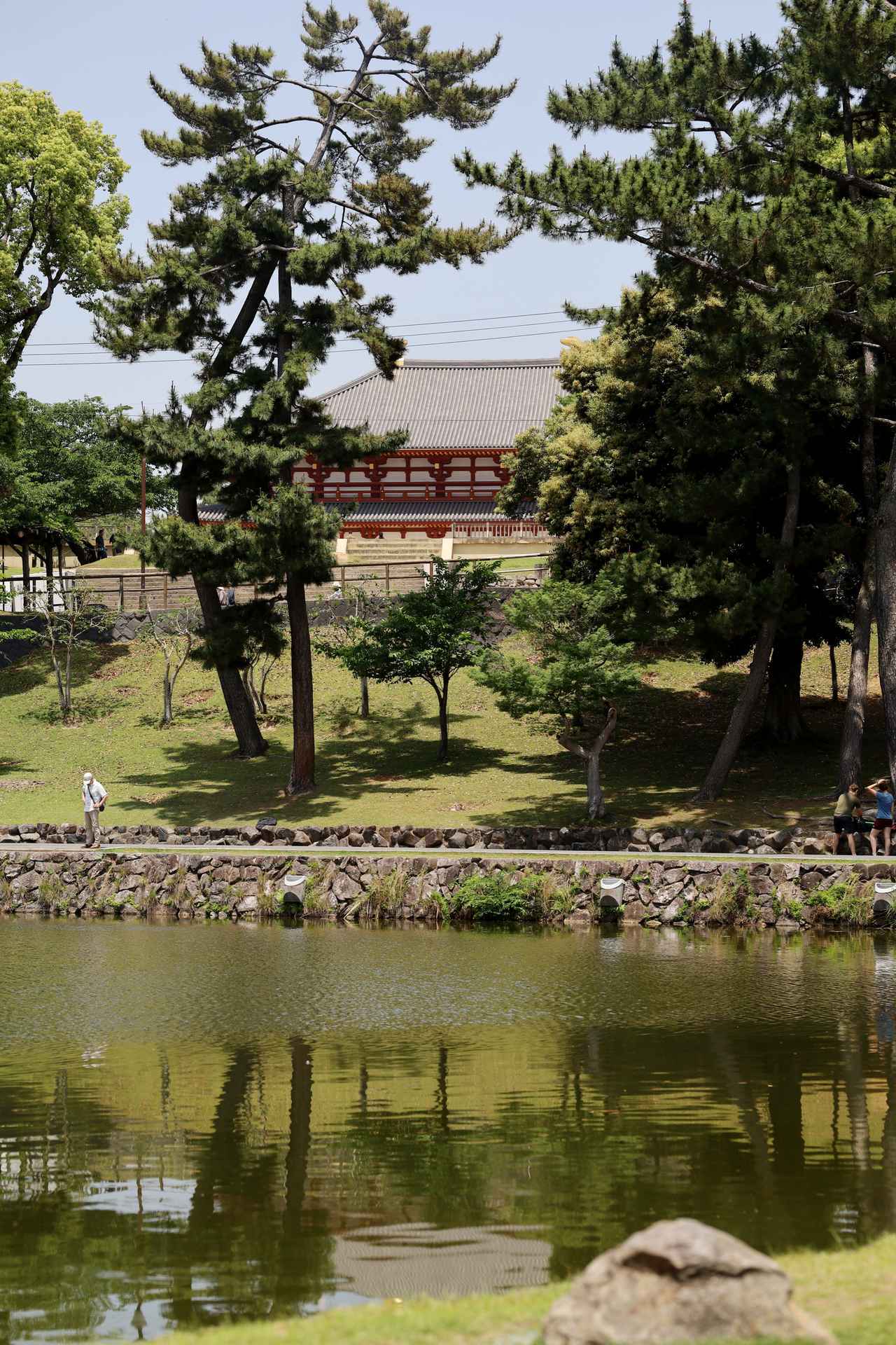画像: 猿沢の池より興福寺の中心となる中金堂、手前に南大門の基壇と、そこに向かう石段