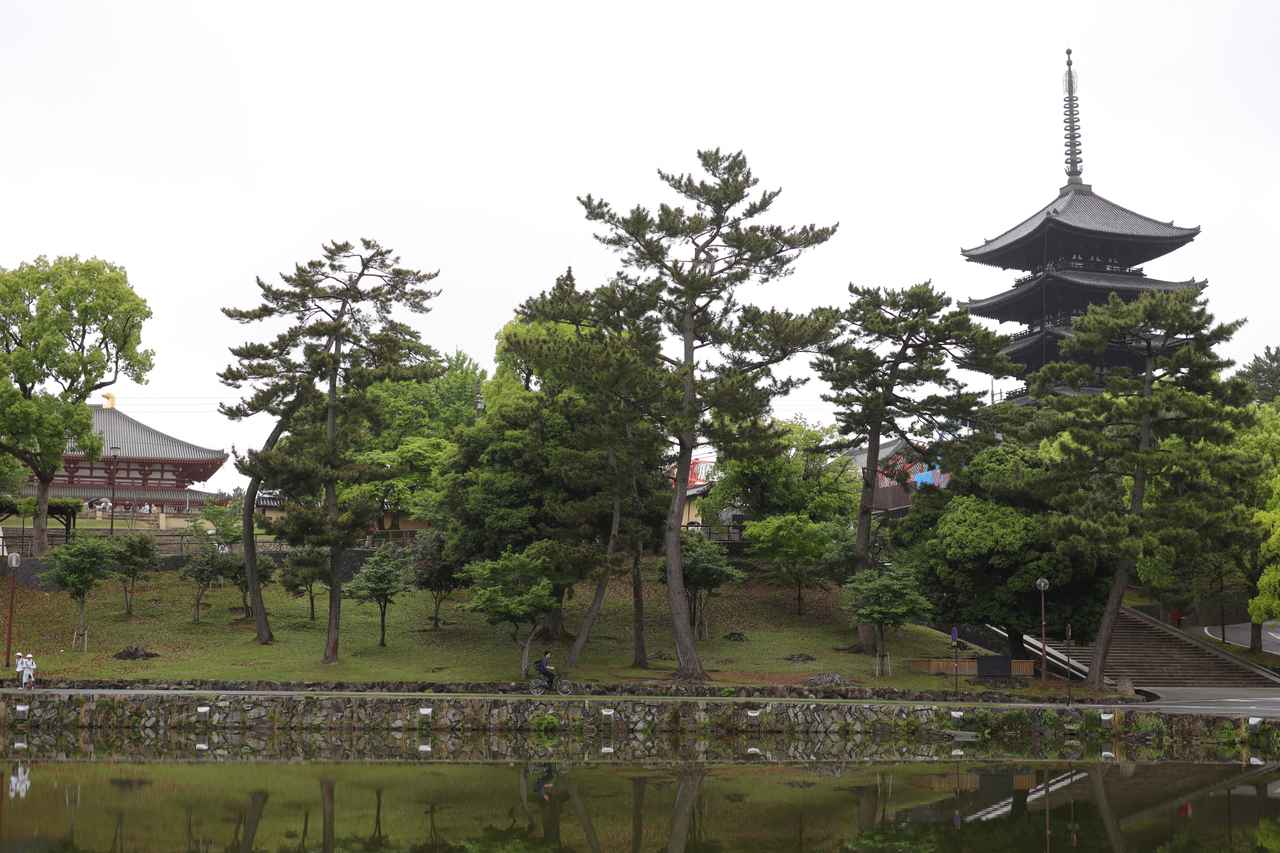 画像: 猿沢の池より、左に中金堂、右の五重塔は現在は令和の大修理中