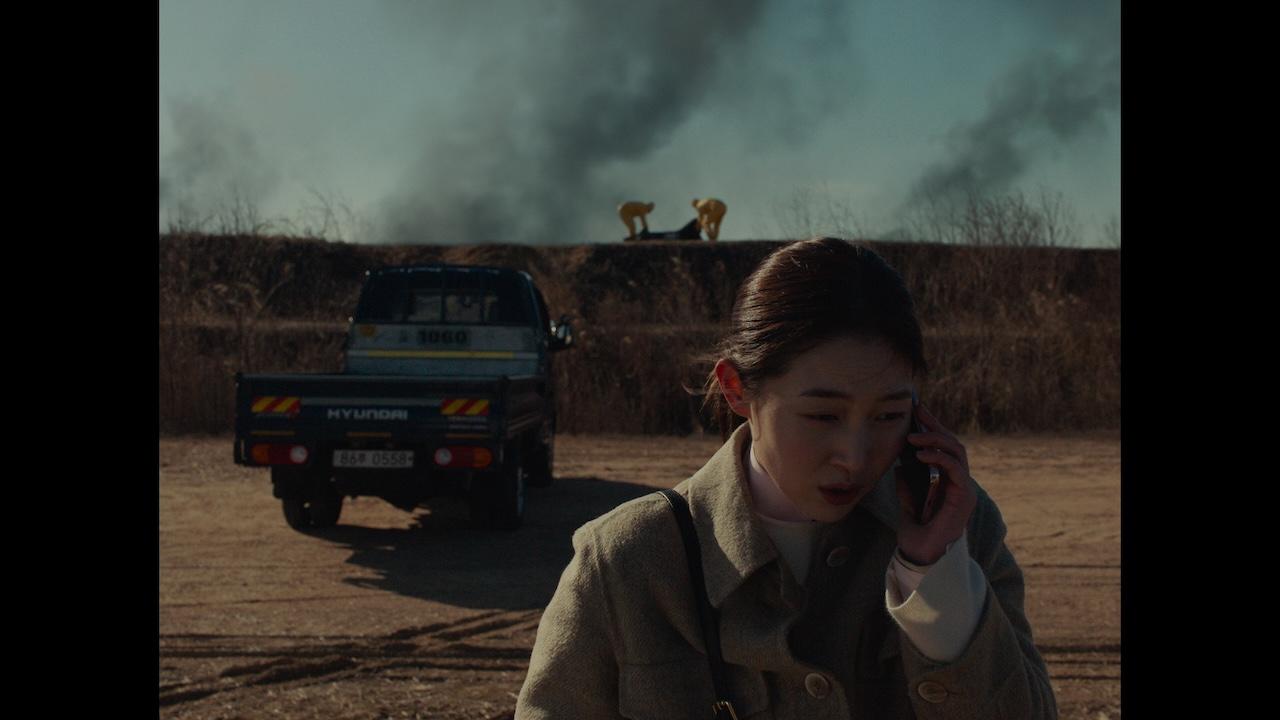 画像: (c) The Coup Distribution