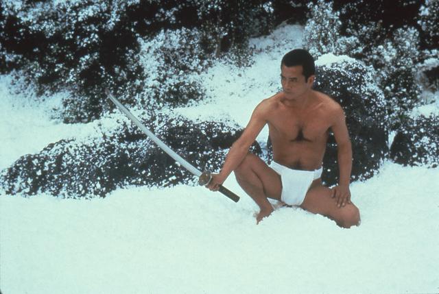 bf50219a946a02715ba77e982f3eff