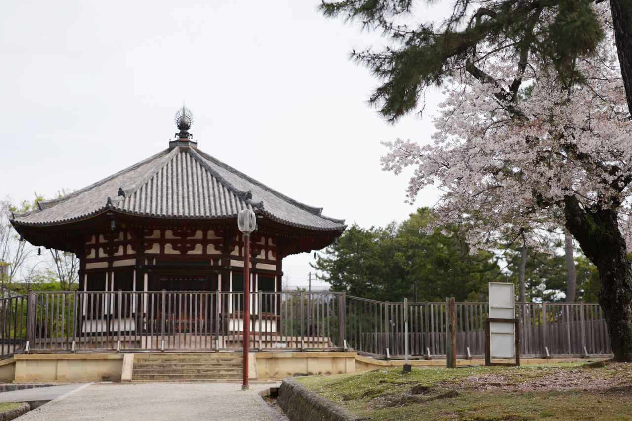 画像: 桜の季節の北円堂