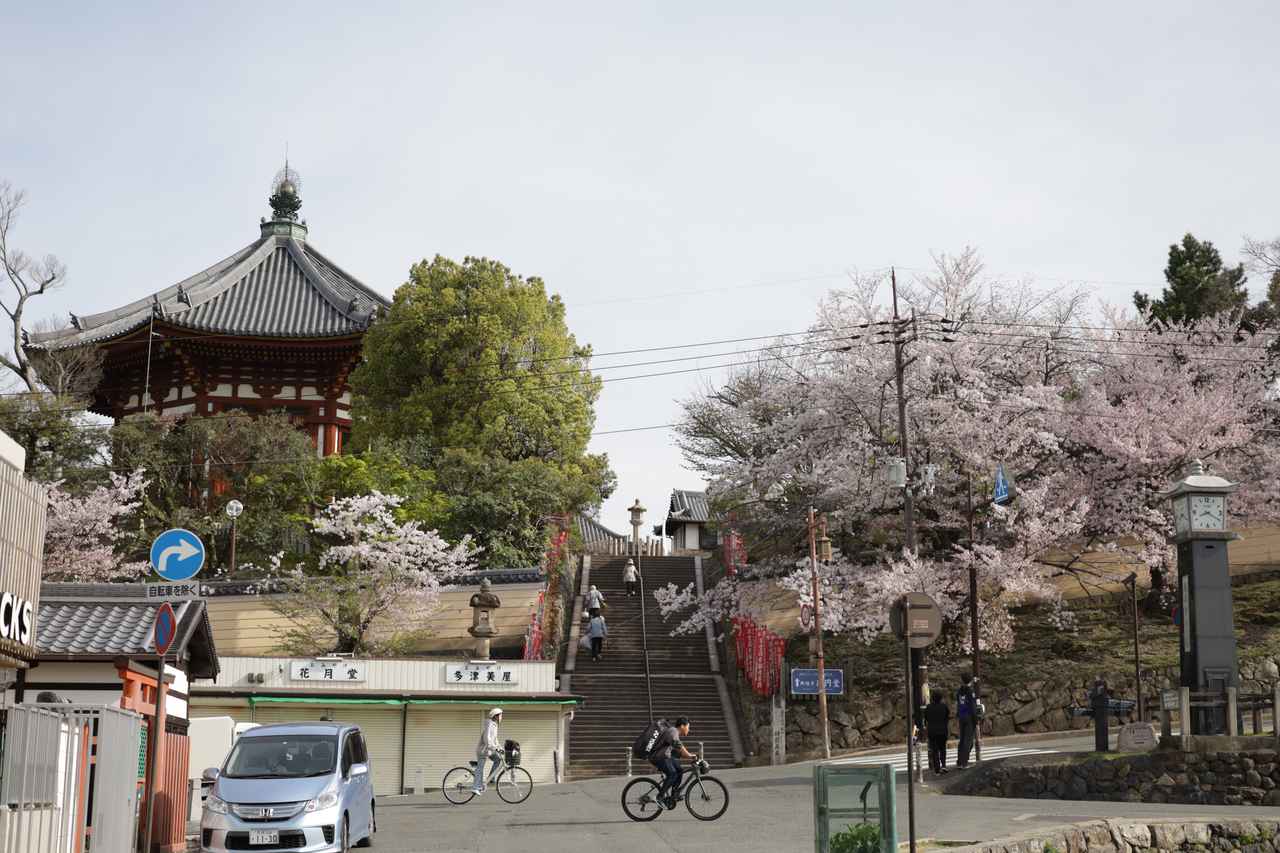 画像: 猿沢の池の西端より台地の上の興福寺、左の八角円堂が江戸時代に再建された南円堂(重要文化財) 今回展示される四天王は以前には南円堂にあった。