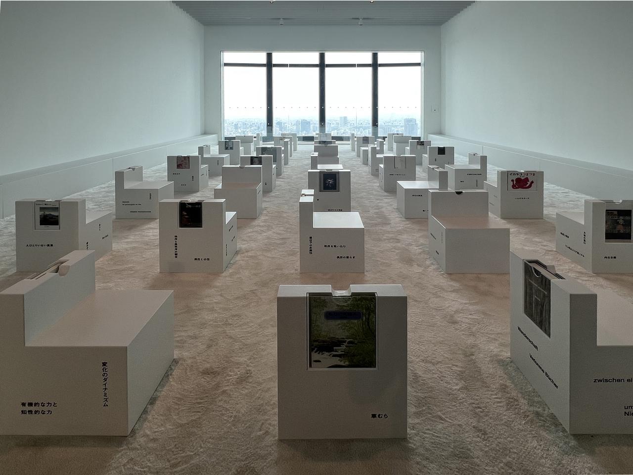 画像: 展示風景：セクション3《あわいの図書室》 photo©︎moichisaito