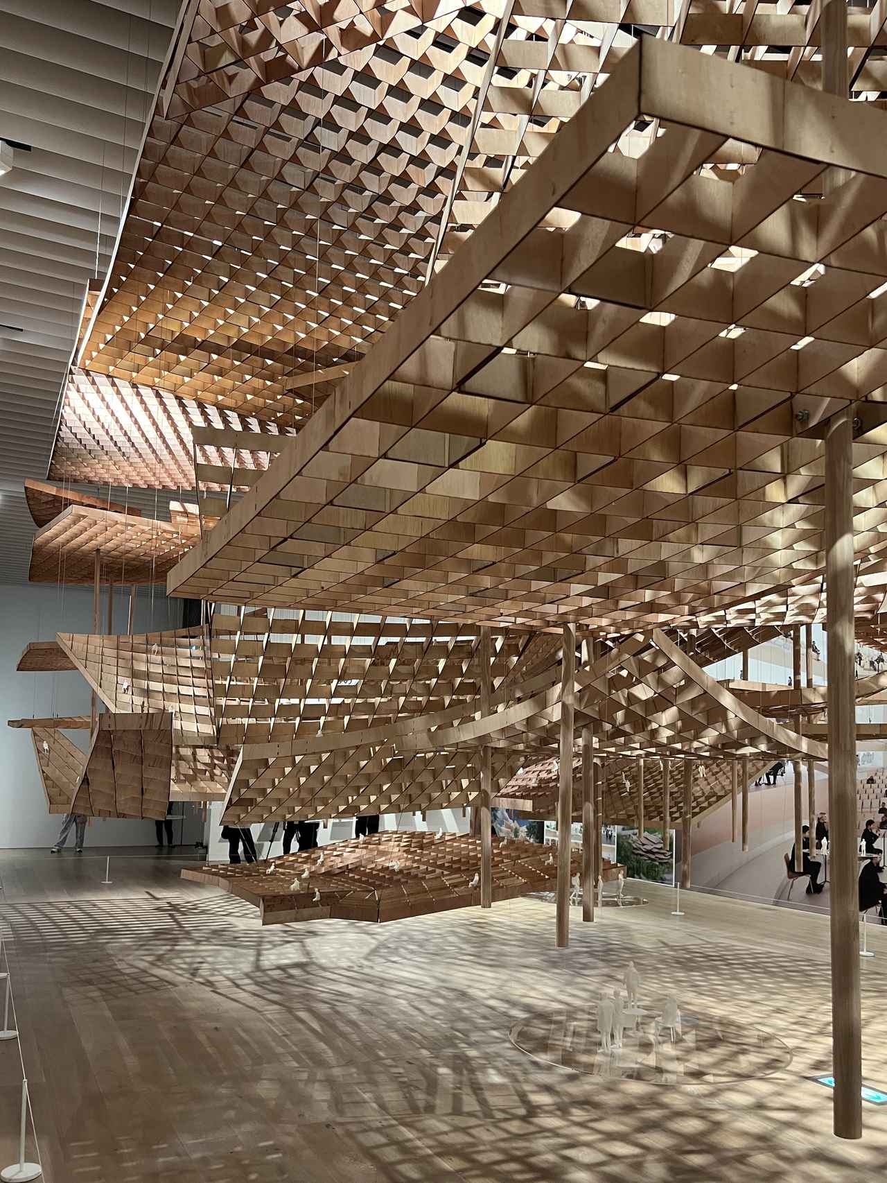 画像: 展示風景：セクション7《 たくさんの ひとつの 森》 photo©︎moichisaito