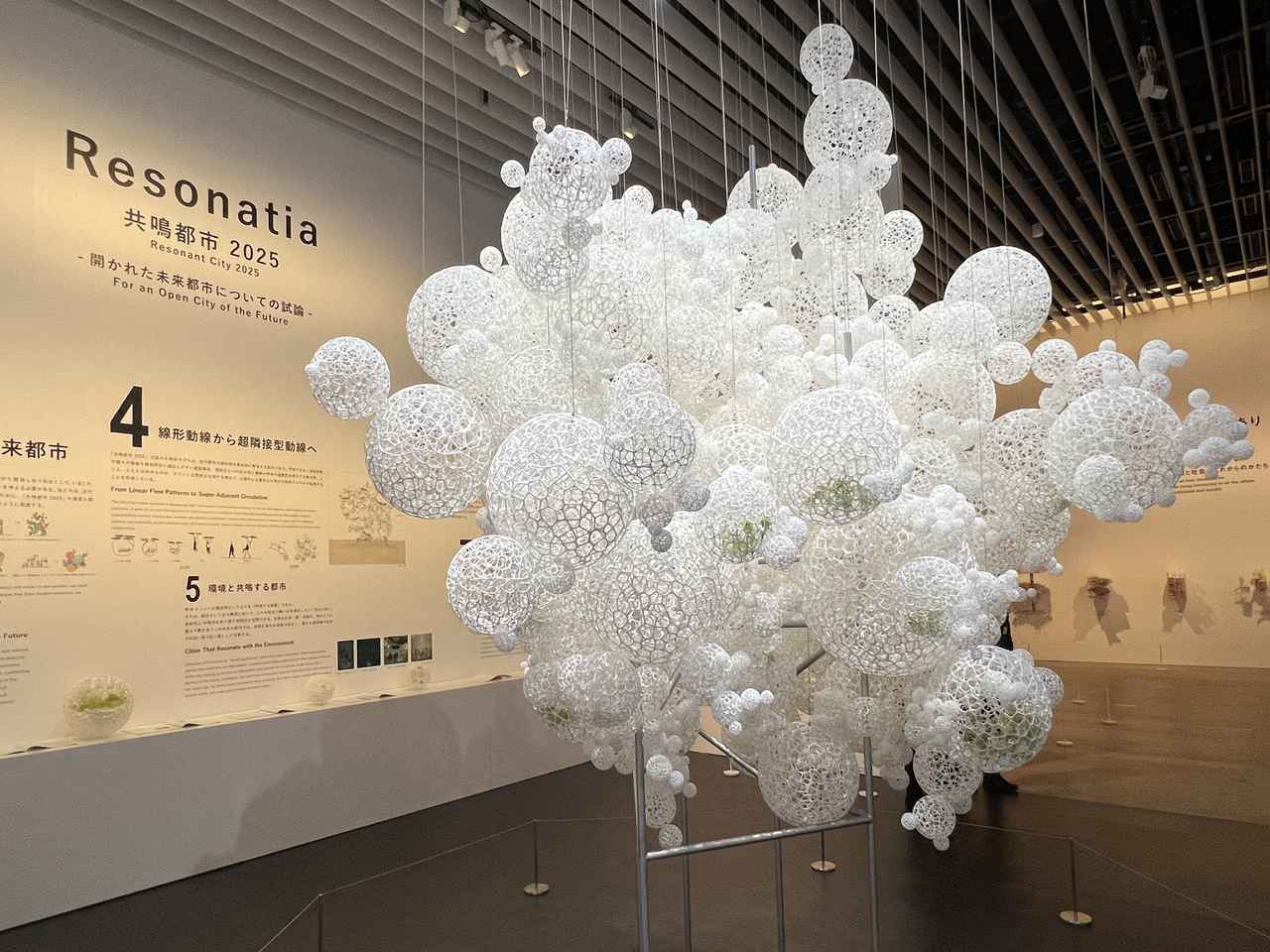 画像2: 展示風景：セクション8《たくさんのひとつの森》 photo©︎moichisaito