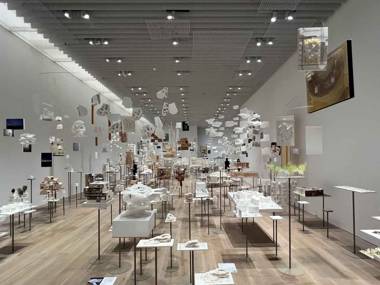 画像1: 展示風景：セクション1《思考の森》 photo©︎moichisaito