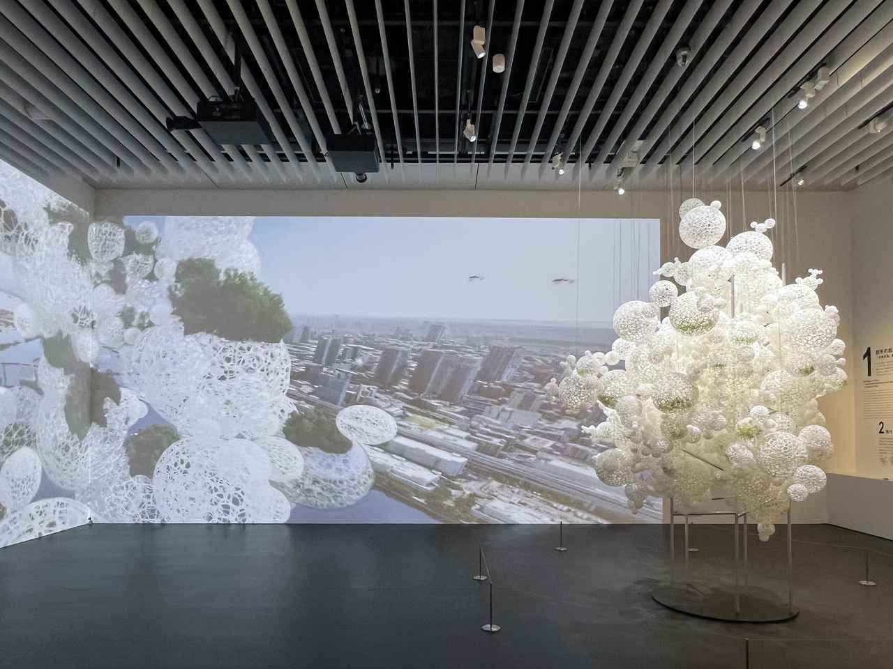 画像1: 展示風景：セクション8《たくさんのひとつの森》 photo©︎moichisaito