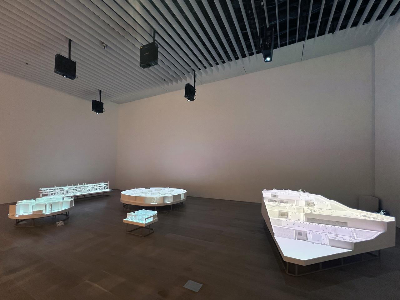 画像: 展示風景：セクション4《ゆらめきの森》 photo©︎moichisaito