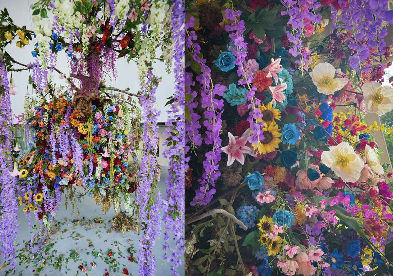 画像: 御土居 梅交軒《 残照 》イメージ