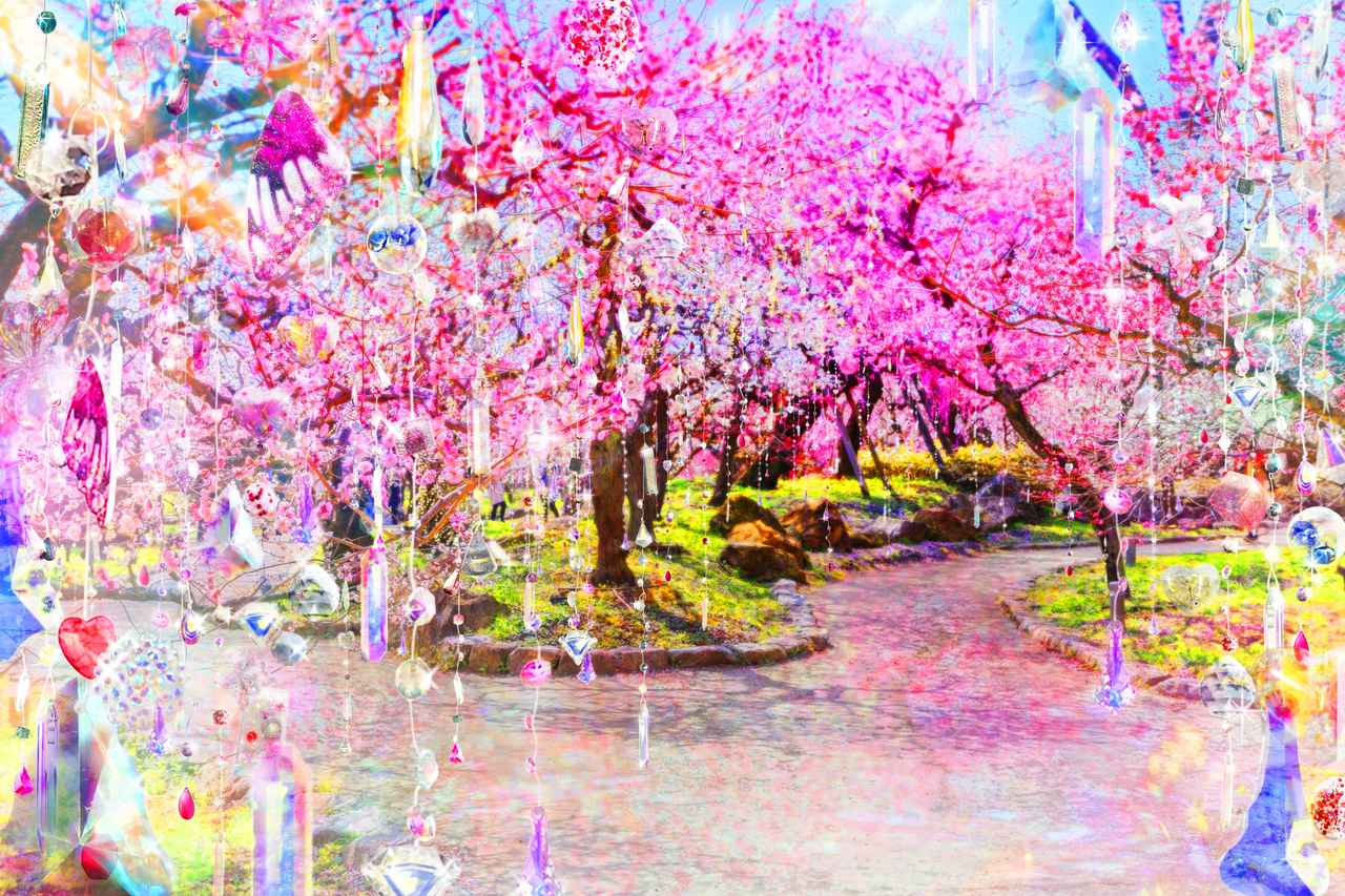 画像: 梅苑《 光と花の庭 》イメージ