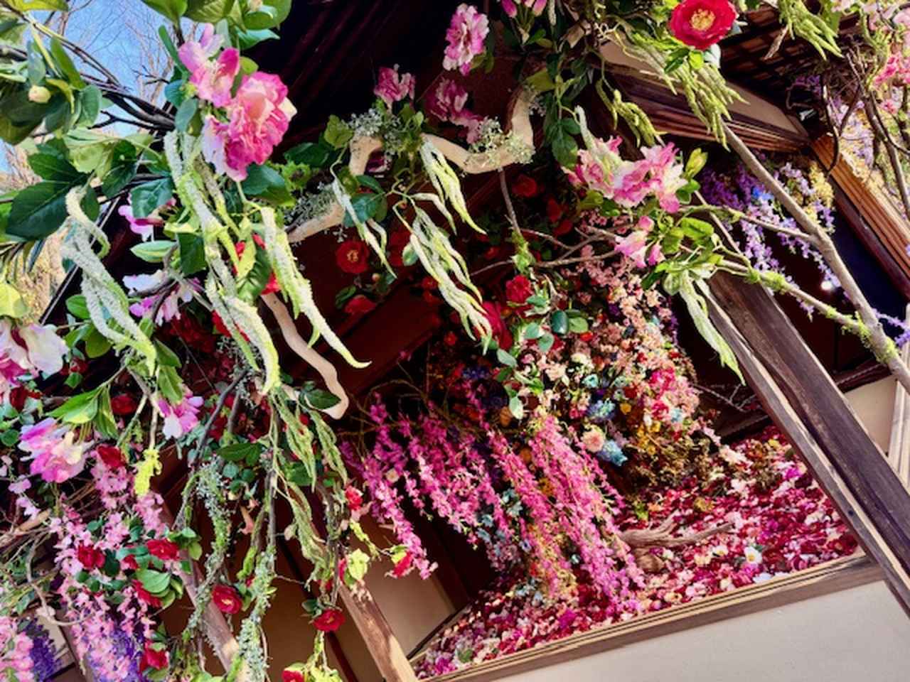 画像: 御土居 梅交軒《 残照 》「KYOTO NIPPON FESTIVAL 2026 -時をこえ、華ひらく庭-」内覧会にて撮影 photo by ©cinefil