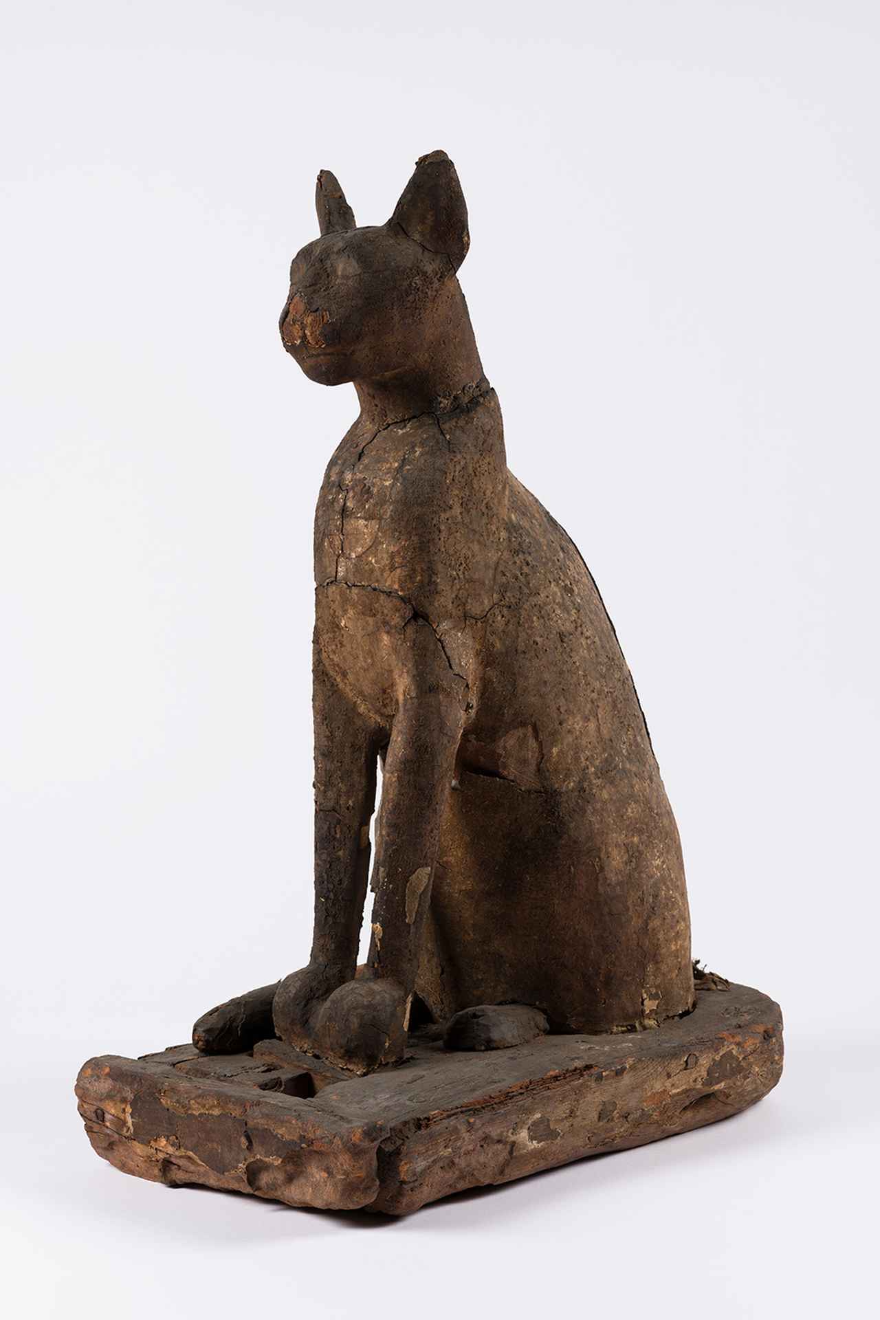 画像: 《ネコの棺とミイラ》前664～前332年 ブルックリン博物館蔵 Photo: Brooklyn Museum