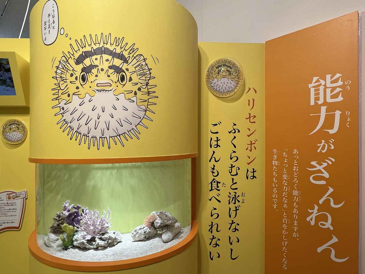 画像: 展示風景：ハリセンボンのブース photo©︎saitomoichi