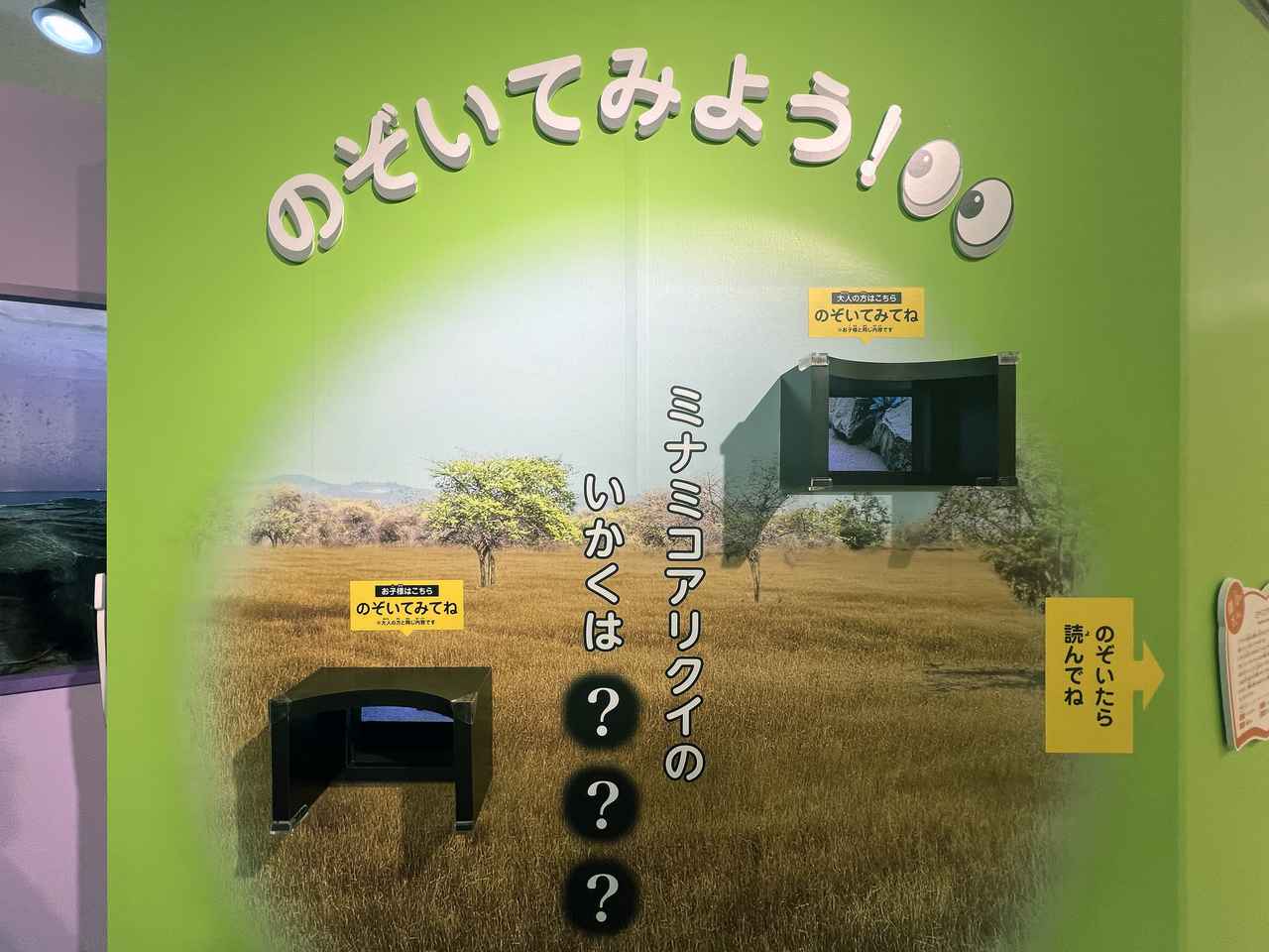 画像: 展示風景：ミナミコアリクイのブース photo©︎saitomoichi