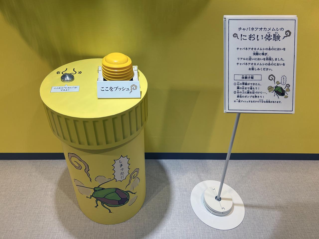 画像: 展示風景：「カメムシのにおい体験」のブース photo©︎saitomoichi
