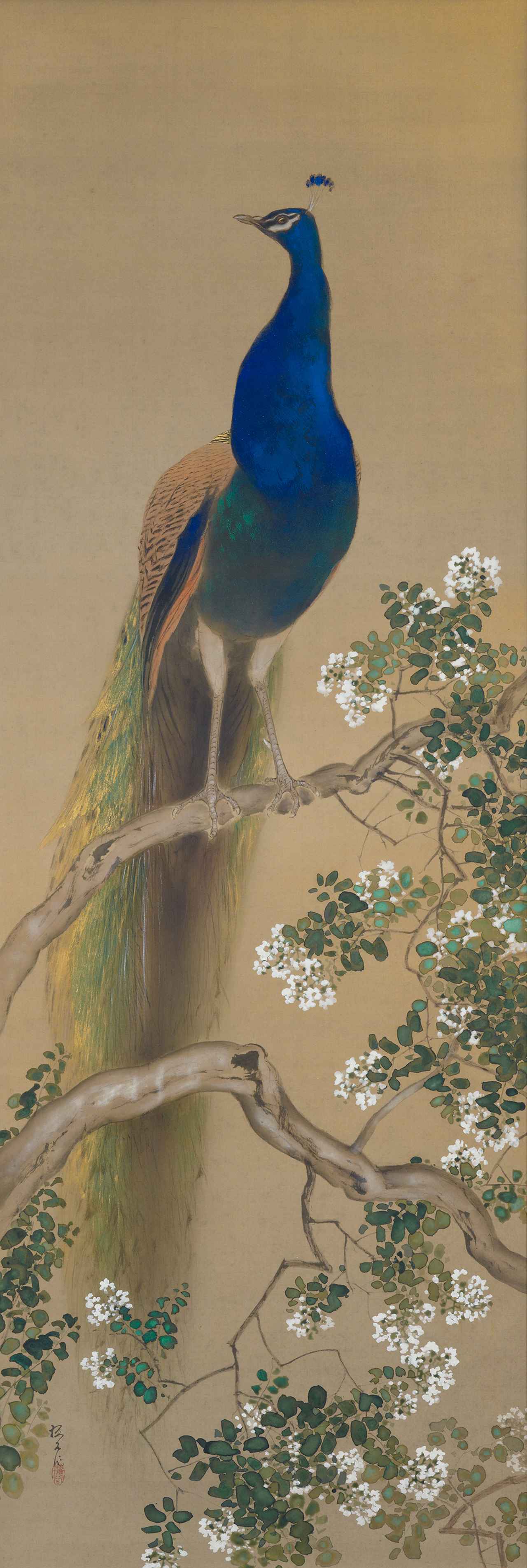画像: 木島櫻谷《孔雀》昭和4年(1929)頃　櫻谷文庫