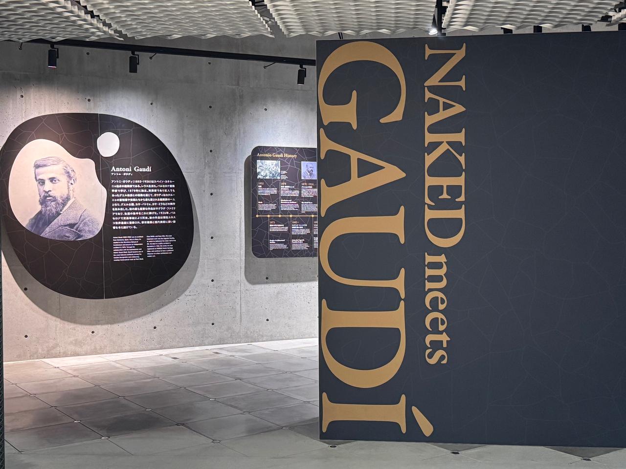 画像1: 大阪会場 展覧会風景　2026年4月16日「NAKED meets ガウディ展」内覧会にて撮影photo by © cinefil