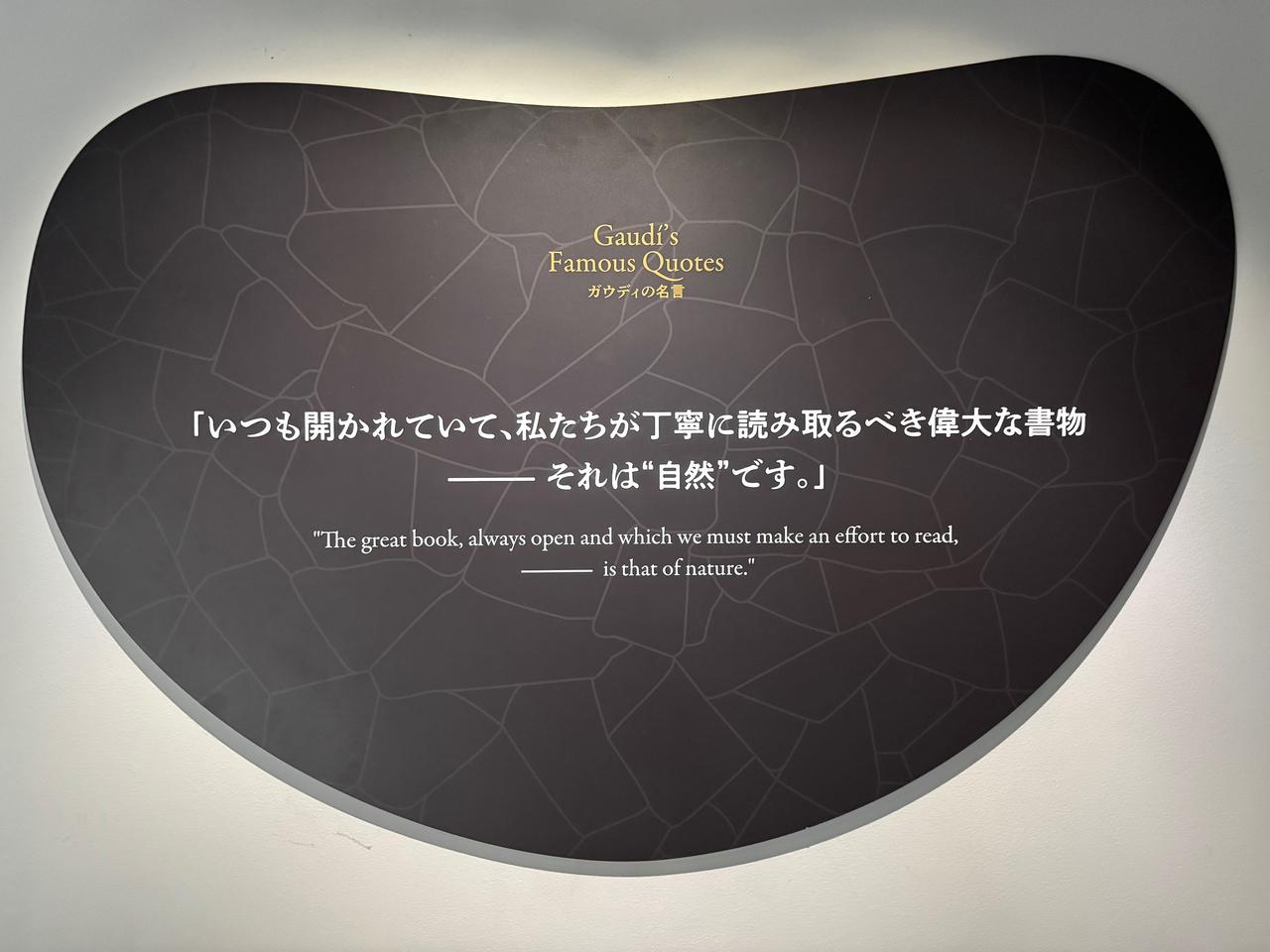 画像3: 大阪会場 展覧会風景　2026年4月16日「NAKED meets ガウディ展」内覧会にて撮影photo by © cinefil