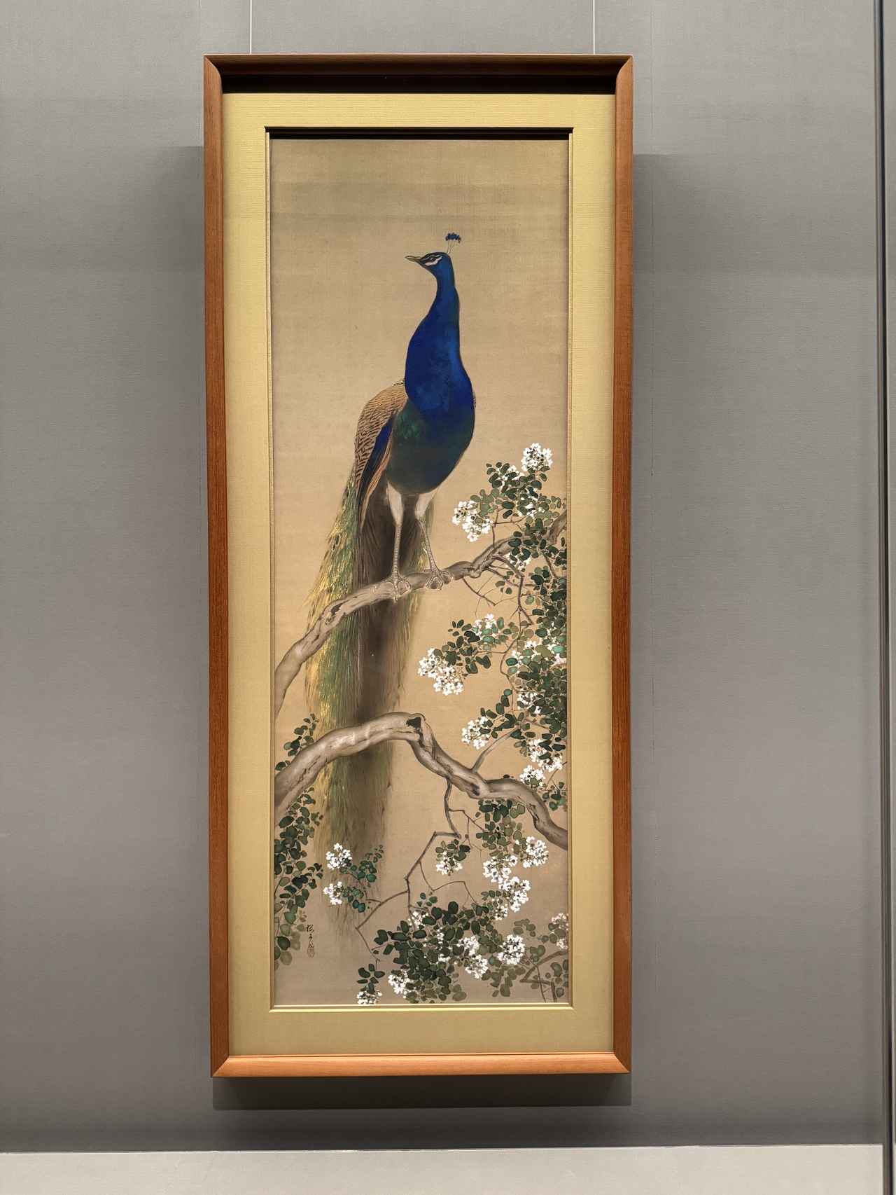 画像: 木島櫻谷《孔雀》昭和4年(1929)頃 櫻谷文庫 泉屋博古館東京「ライトアップ木島櫻谷Ⅲ― おうこくの色をさがしに」内覧会にて撮影 photo by © cinefil