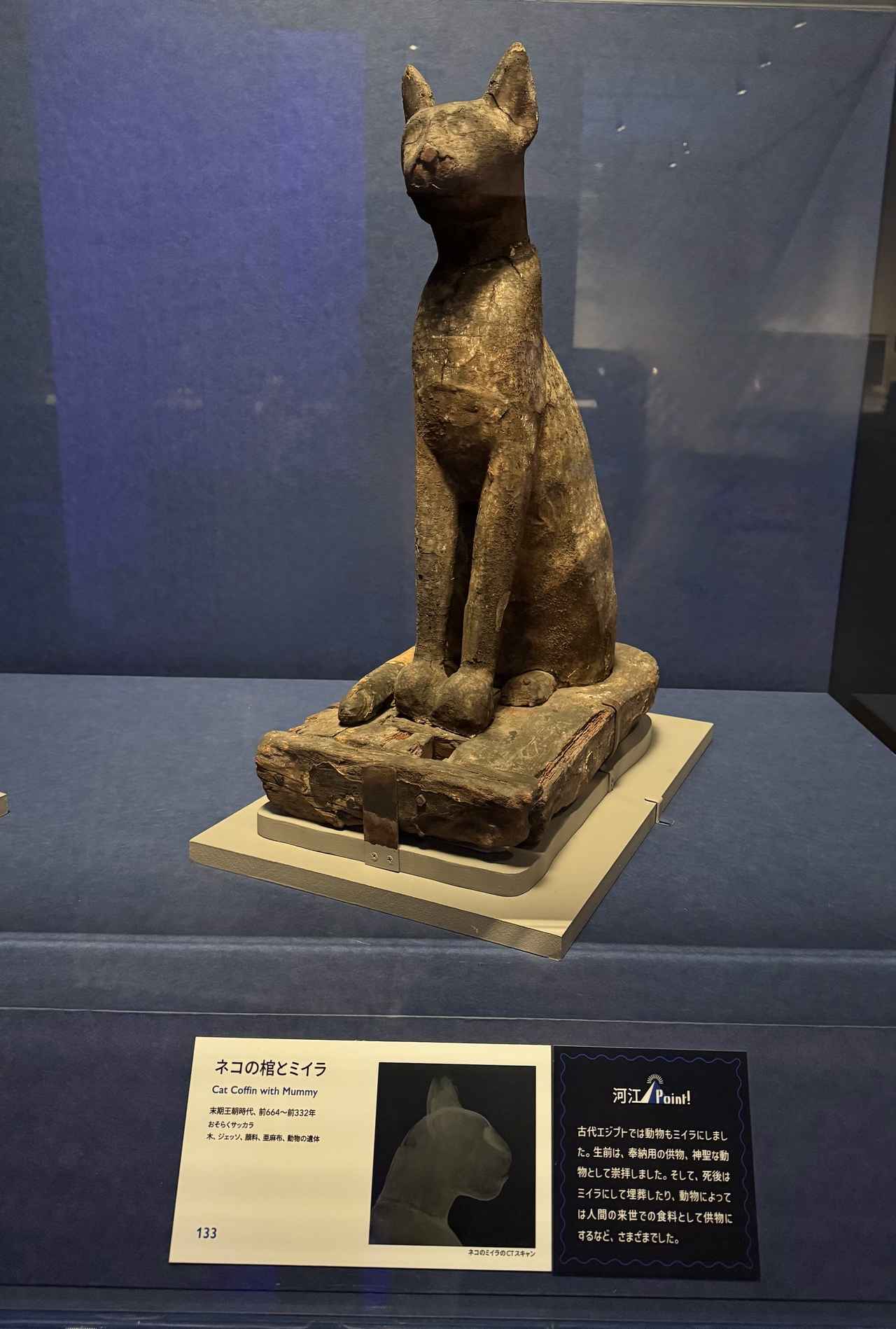 画像: 《ネコの棺とミイラ》前664～前332年 ブルックリン博物館蔵 Photo: Brooklyn Museum 「ブルックリン博物館所蔵 特別展 古代エジプト」あべのハルカス美術館内覧会にて撮影 photo by © cinefil