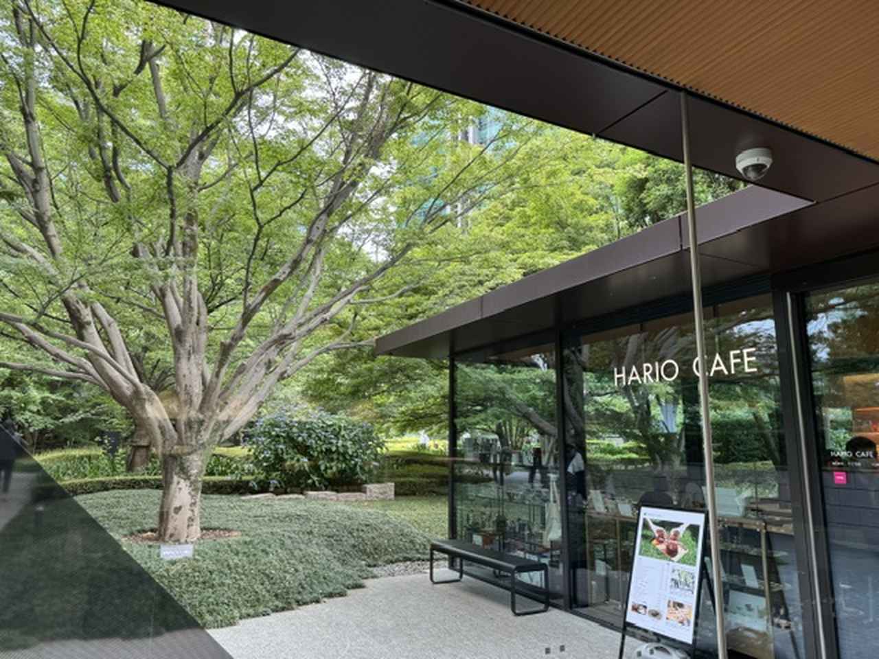 画像: 展覧会概要