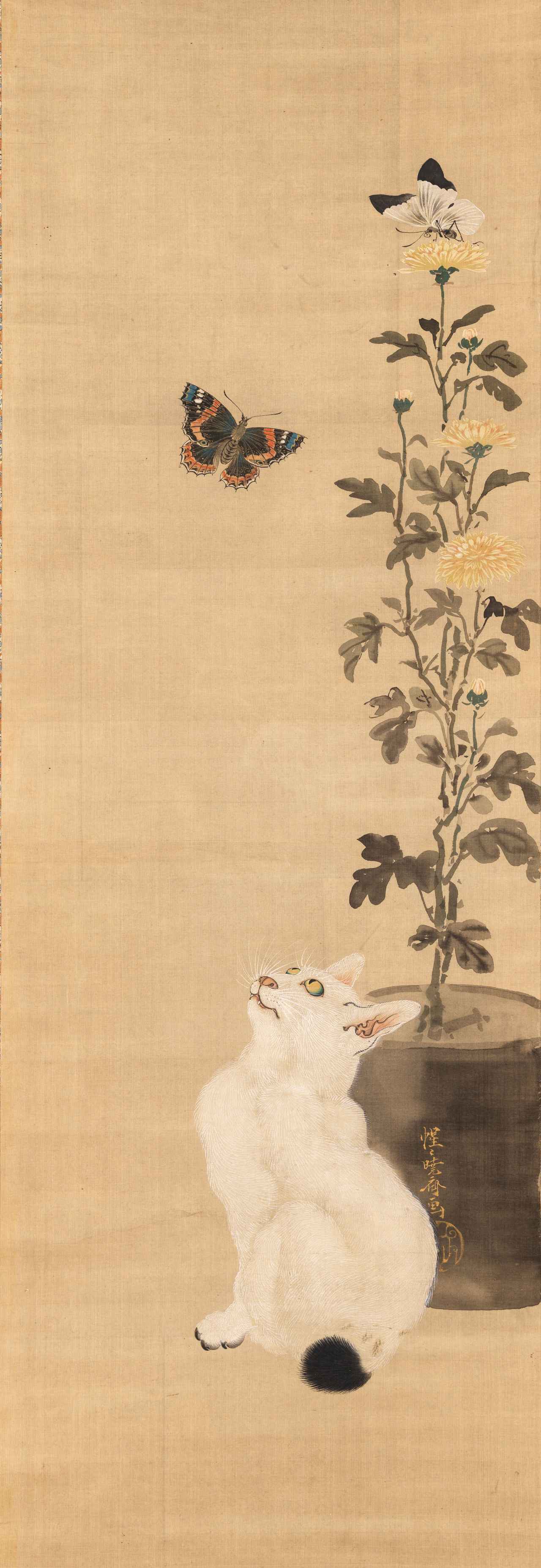 画像: 河鍋暁斎《蝶と菊に猫》明治4~22年(1871-89) 絹本着彩 イスラエル・ゴールドマン・コレクション Photo:Ken Adlard【日本初出品】