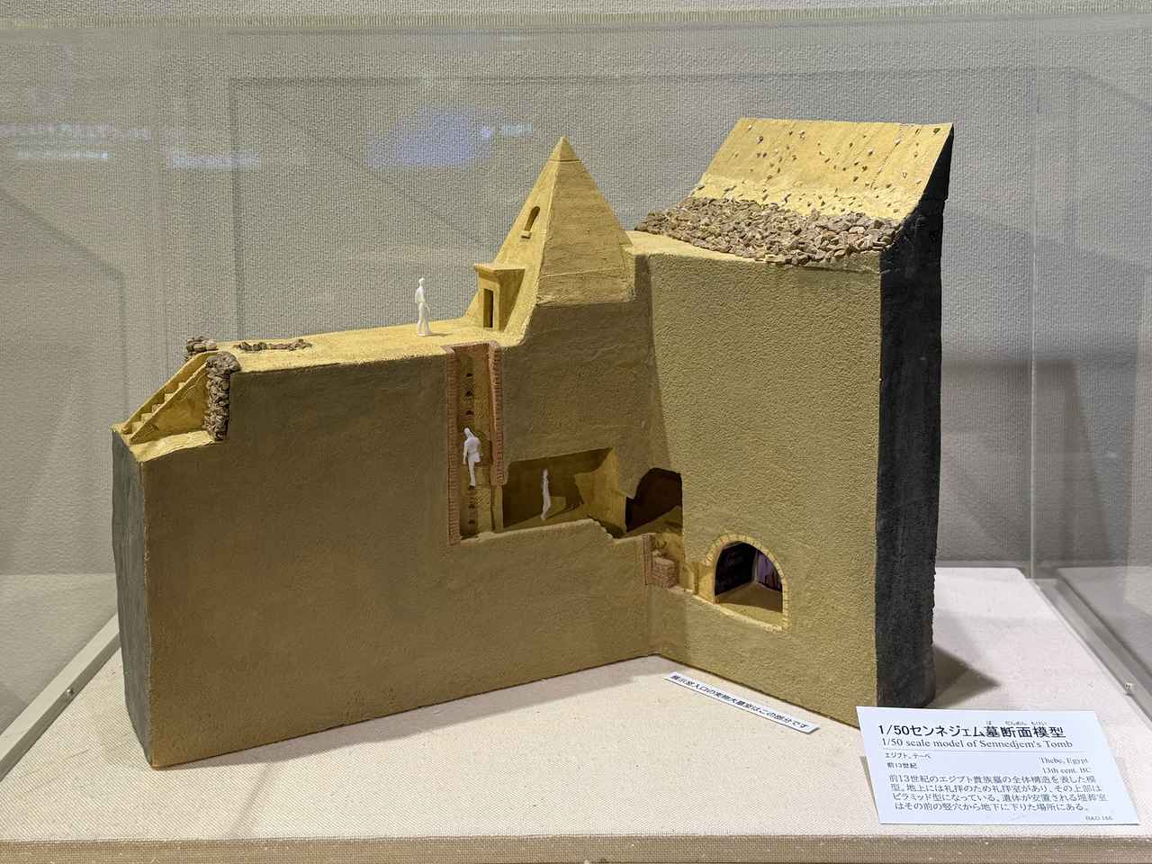 画像: 展示風景:1/50センネジェム墓断面模型 photo©️moichisaito