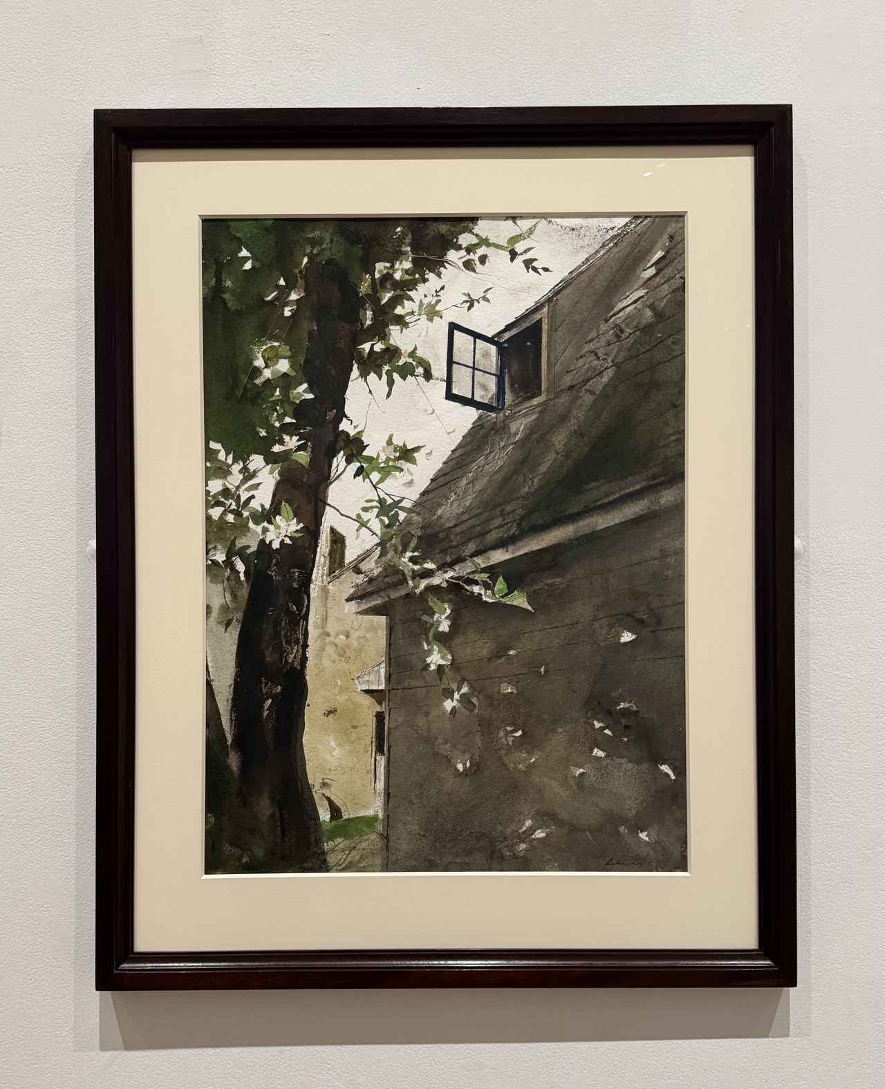画像: アンドリュー・ワイエス《花びら》1991年　水彩、紙　75.5x56㎝　ボストン美術館 豊田市美術館「アンドリュー・ワイエス展」内覧会にて撮影　photo by © cinefil