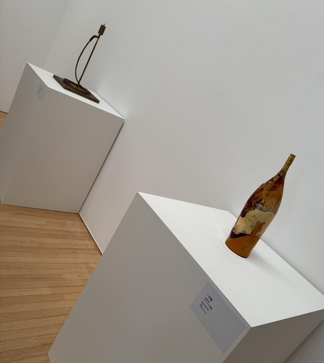 画像2: 展示風景 　豊田市美術館「コレクションを中心としたテーマ展　ワン・ルーム　ワン・アーテイスト」内覧会にて撮影　photo by © cinefil