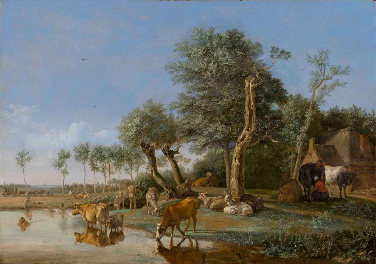 画像: パウルス・ポッテル《水に映る牛》1648年　油彩/板　43.4×61.3cm　 マウリッツハイス美術館　© Mauritshuis, The Hague