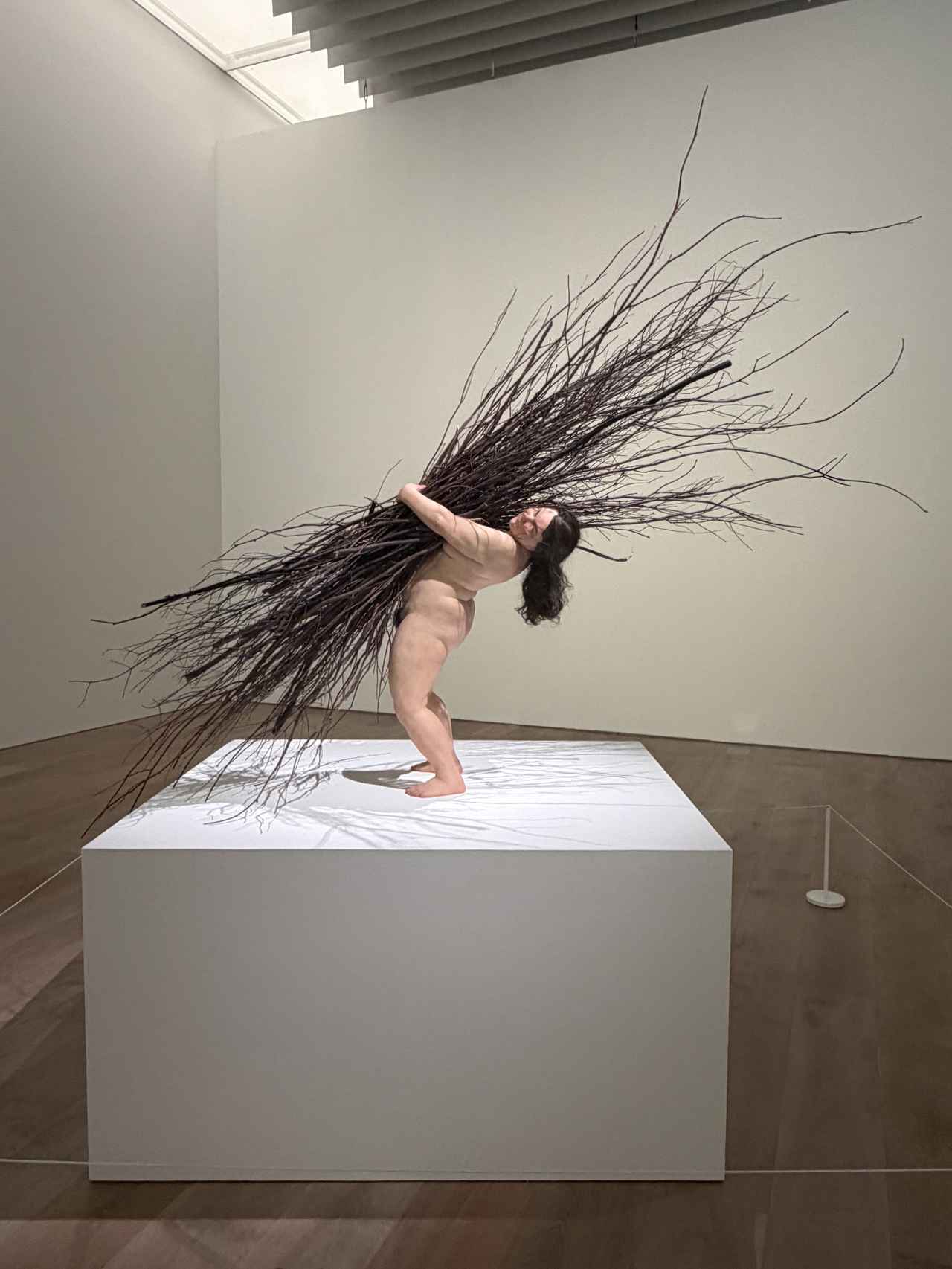 画像: 《枝を持つ女》2009 年　ミクストメディア　170 × 183 × 120 cm　所蔵：カルティエ現代美術財団 展示風景：「ロン・ミュエク」森美術館（東京）2026 年 photo©︎moichisaito