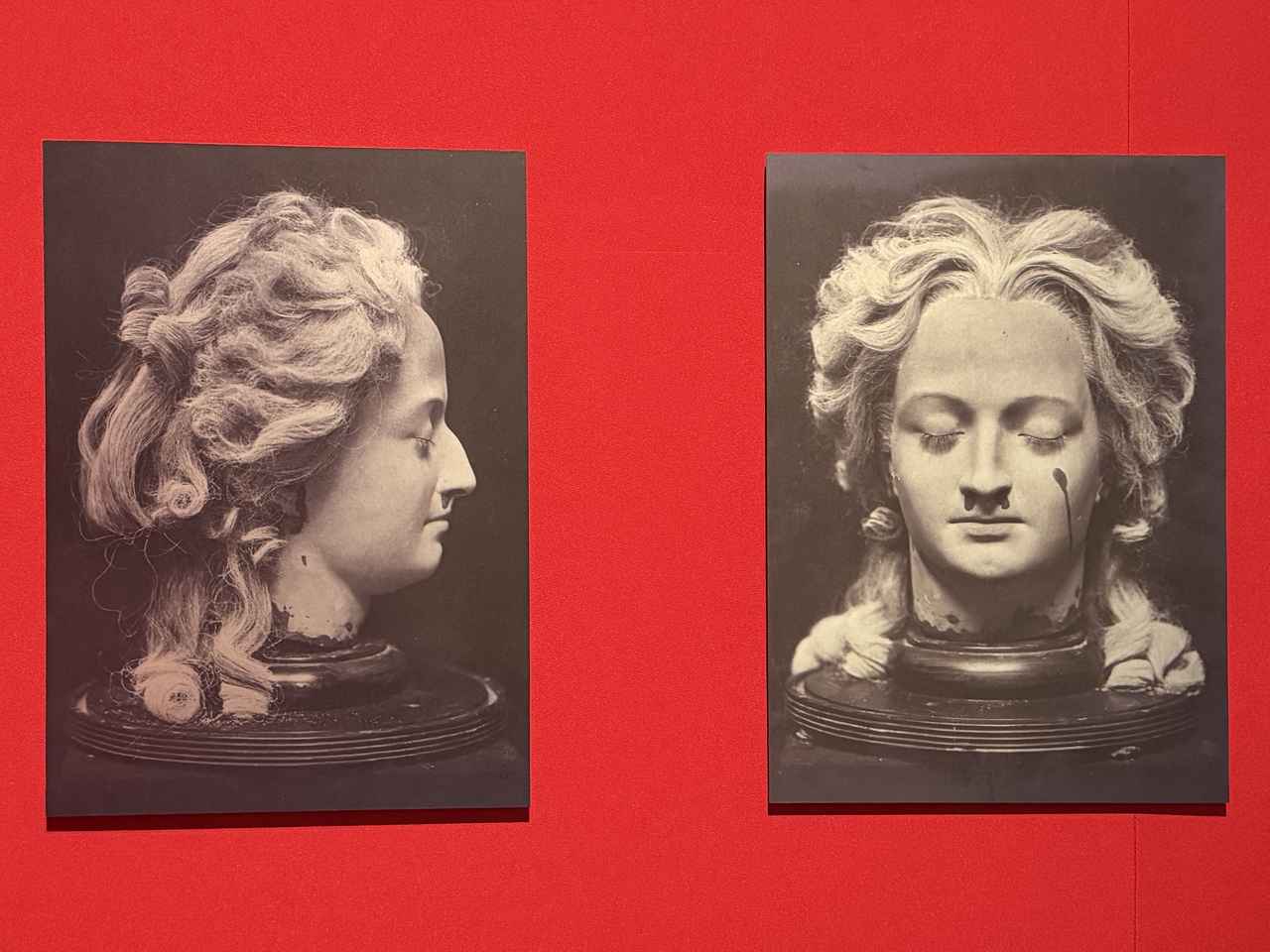 画像: 展示風景：斬首後に型取りしたとされるマリー・アントワネットの蝋製胸像の写真[複製]　撮影者不詳　1907年　イメージ提供：フランス国立図書館。1925年までロンドンの蝋人形館、マダム・タッソー館で展示されていた。 photo©︎moichisaito