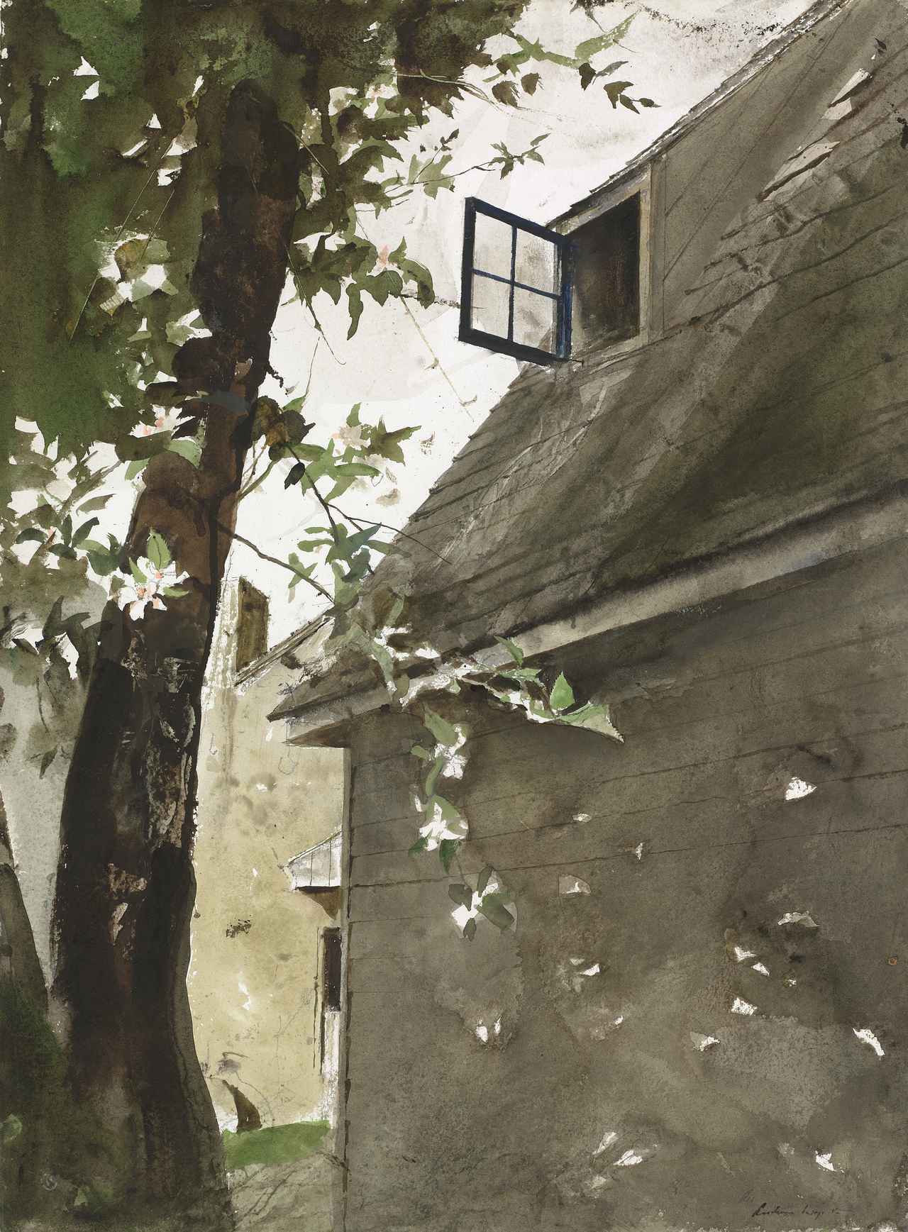 画像: 《花びら》 1991年 水彩、紙 ボストン美術館 Museum of Fine Arts, Boston, Bequest of Sandra Sheppard Rodgers ©2026 Wyeth Foundation for American Art / ARS, New York / JASPAR, Tokyo