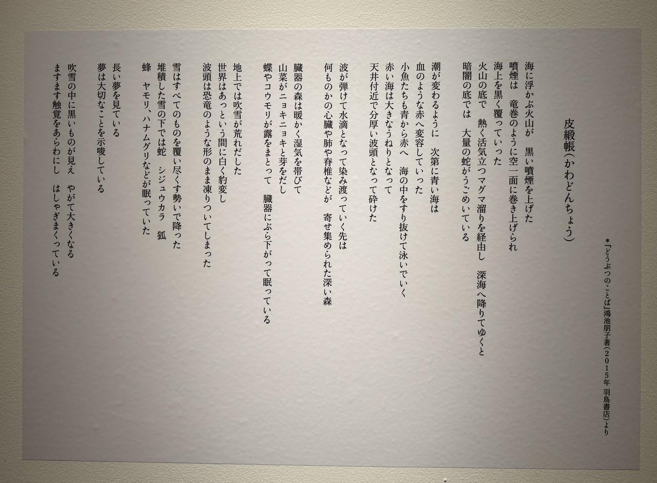 画像: 大阪中之島美術館「ＮＨＫ日曜美術館５０年展」記者内覧会にて撮影photo by © cinefil