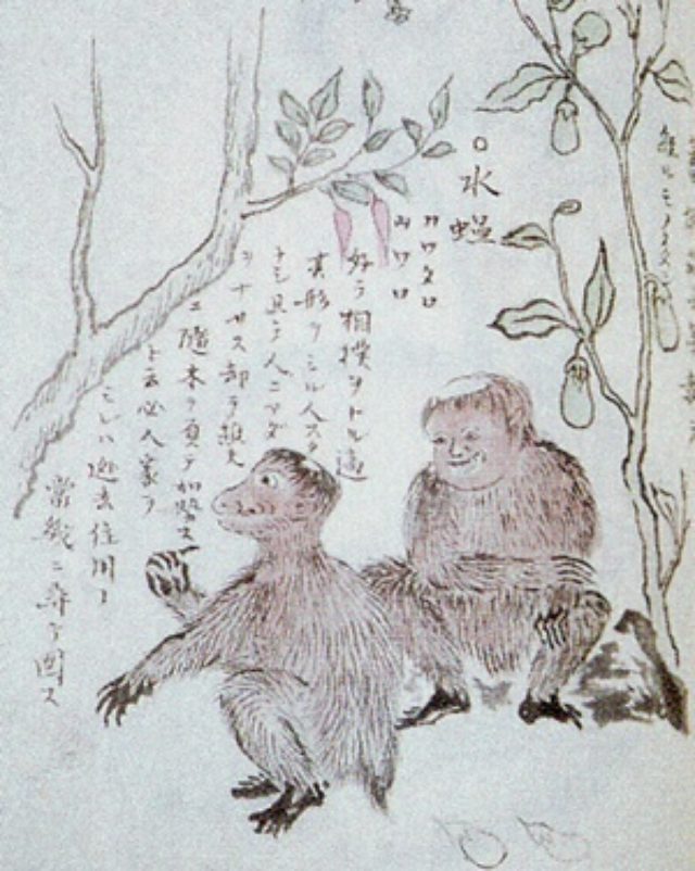 画像: 名越左源太時敏『南島雑話』に描かれたケンムン upload.wikimedia.org