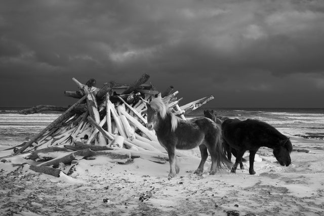 画像: 白と黒の間に、数え切れない無数の”色”が存在する。 jp.leica-camera.com