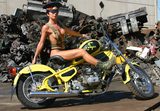 画像: ところで、このUral Cobraって関係あるのですか?