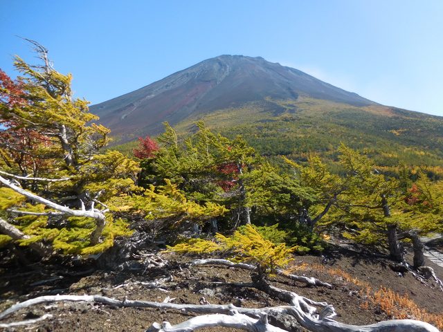 画像14: だいたいのルートはこんな感じ