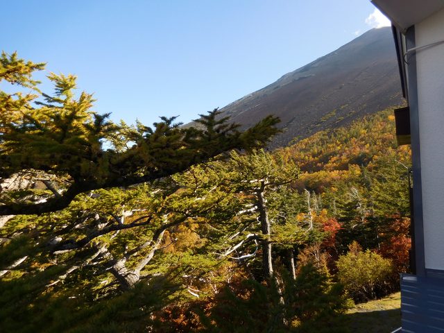 画像19: だいたいのルートはこんな感じ