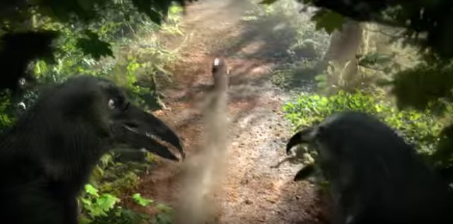 画像5: www.youtube.com