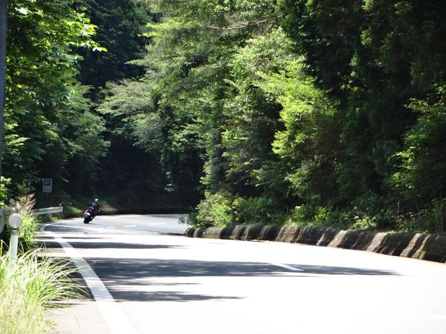 画像: 他にも数台のライダー達が新緑のなかを気持ち良さそうにツーリングしていました。