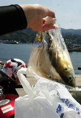 画像4: やまぐちさんのtwitterより転載。 twitter.com