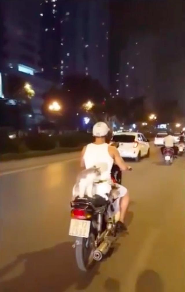 画像: ベトナムで人気のスーパーカブ・タイプのアンダーボーン・モーターサイクルが、夜の街を走ります・・・ん? なんだか後ろにネコが載っていますね・・・。 www.youtube.com