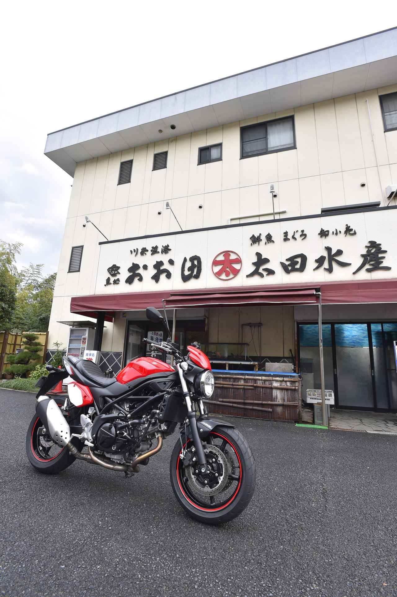 画像: 《魚処 おお田(太田水産)》 海沿いを南に走ると、食事処っぽくないため通り過ぎてしまいがちな隠れた名店です。海沿いには数多くのレストランがありますけれど、ここは地元の人がたくさん訪れるお店。ちなみにお店のご主人は元バイク乗りです。 静岡県伊東市川奈1225-251 営業時間 11:30~14:30(ラストオーダー14:00) 17:00~21:00 (ラストオーダー 20:30) 定休日 火曜日 WEBサイトはコチラから!