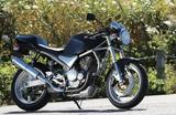 画像: 1991 SUZUKI Goose350/SPECIAL EDITION 満を持して投入された“過激”なシングル
