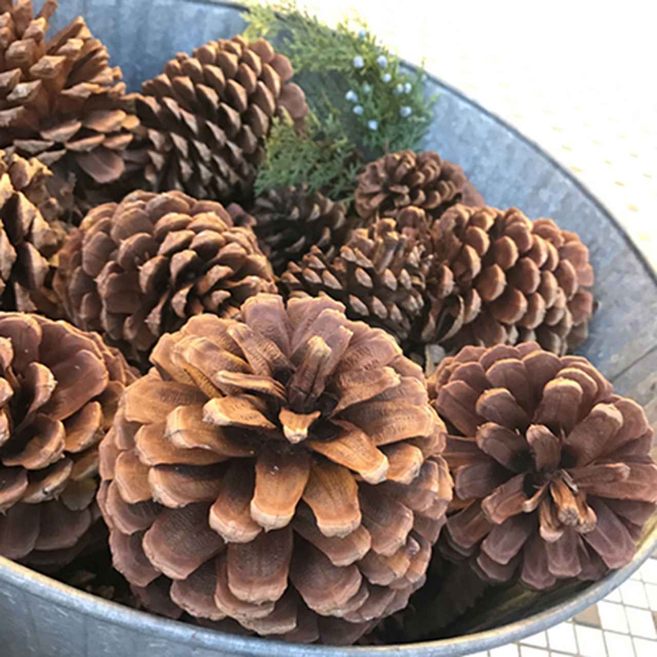 画像: 写真・実写編(スクエアモード)