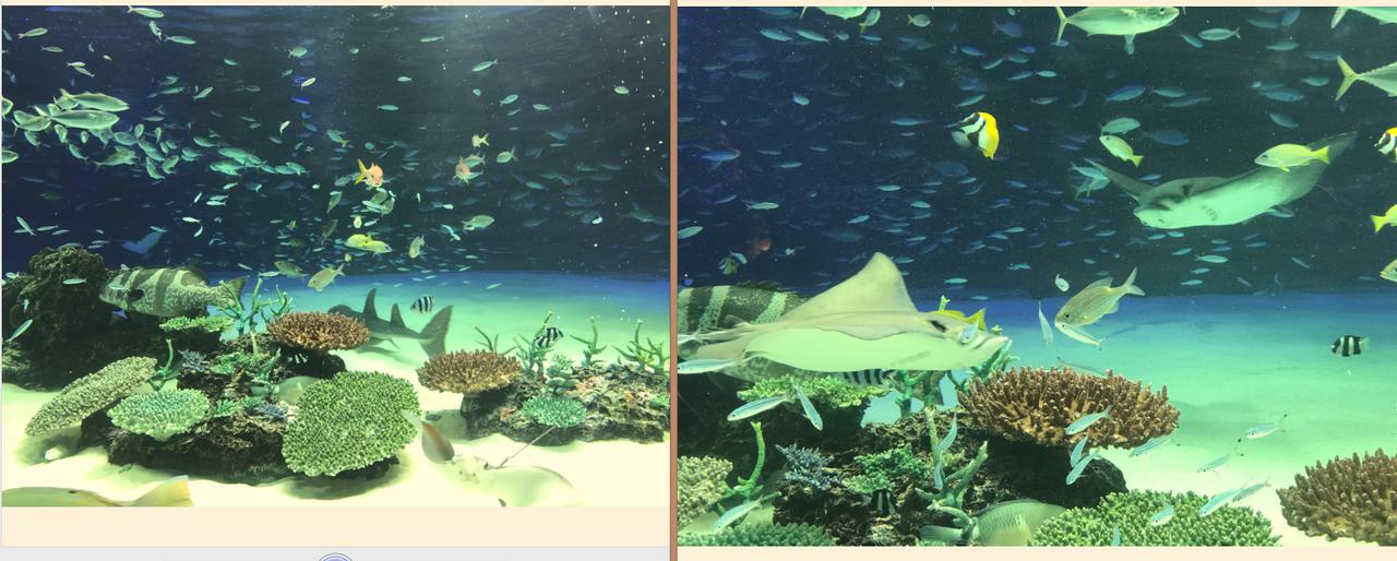 画像: 同じ位置からレンズを切り替えて撮影。左は広角側(28mm)で撮影した写真で、右が望遠側(56mm)。広角から望遠へのズームも可能です。