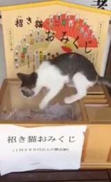 画像1: youtu.be