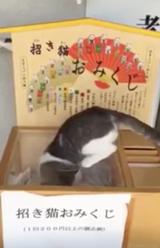 画像2: youtu.be