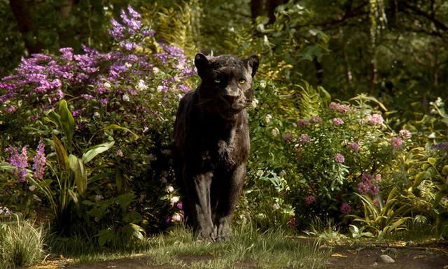 画像: バギーラ モーグリの守護者ともいうべき、威厳に満ちた黒ヒョウ。勇敢で規則を重んじ、理性的。赤ん坊のモーグリを発見し救い、自然の厳しさや生き抜く知恵を教え、鍛え導いてきた。 www.disney.co.jp